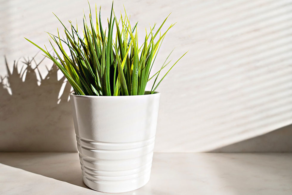 Indoor Air Quality Helena, MT Superior Heating & Cooling, Inc.